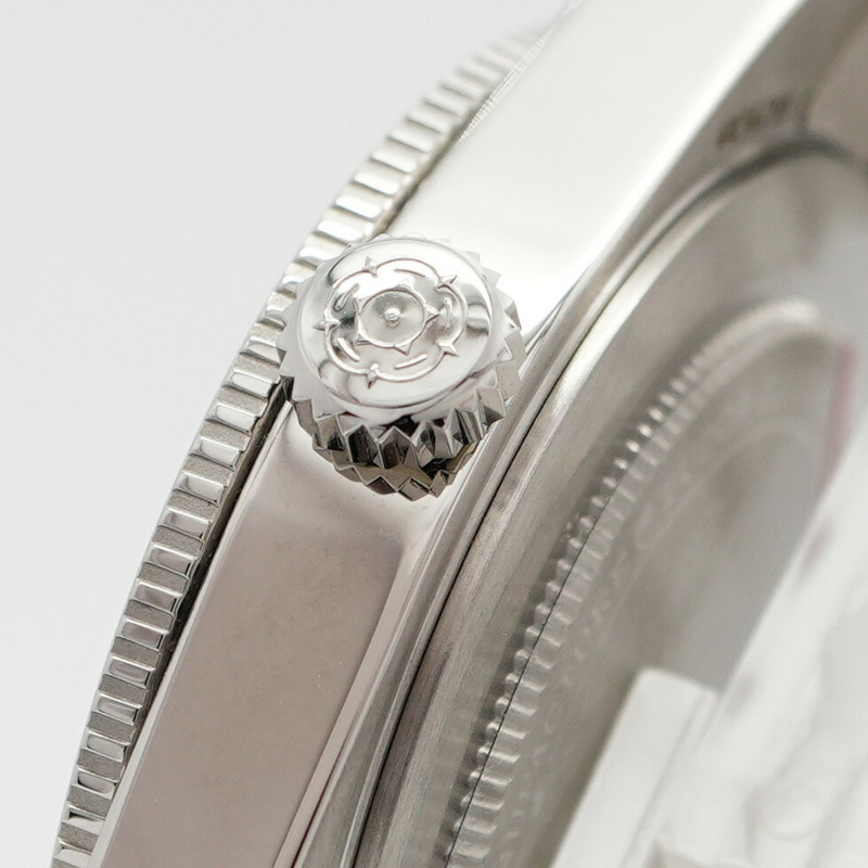 帝舵碧灣54 79000 藍色錶盤男士腕錶-10