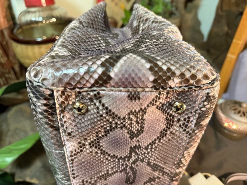 Gucci 真蟒蛇皮 手拿肩背包（全新）-6