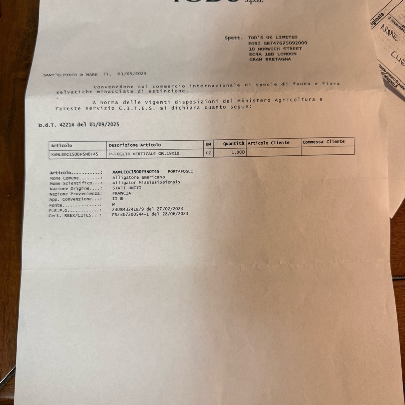 TOD’S 真鱷魚皮（腹部）長夾-14