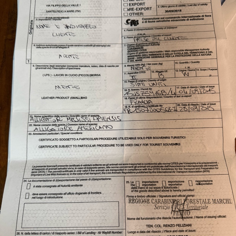 TOD’S 真鱷魚皮（腹部）長夾-15