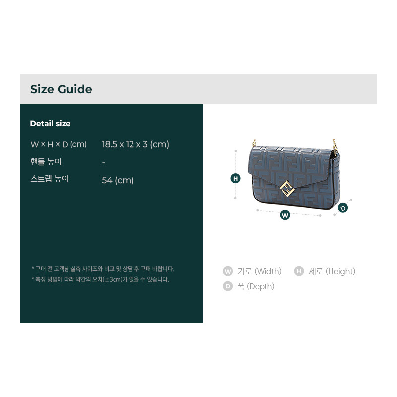 FENDI 25FW 女士鏈條單肩包-2