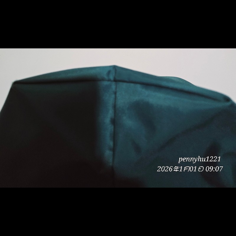 Lonchamp 托特包-4