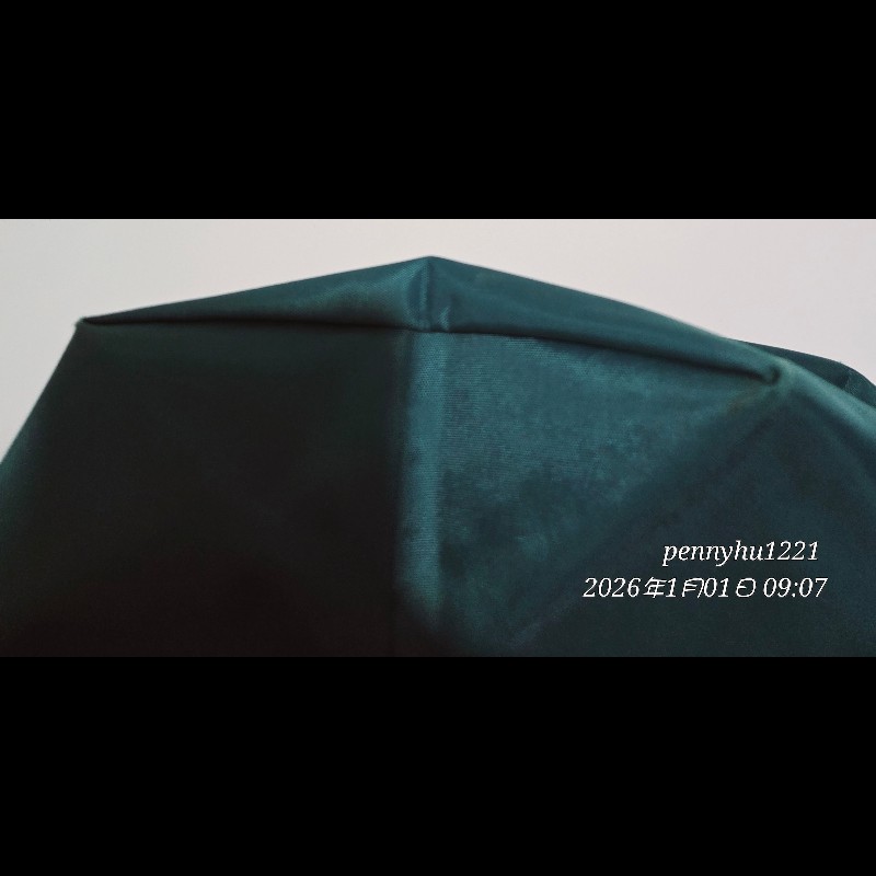 Lonchamp 托特包-7