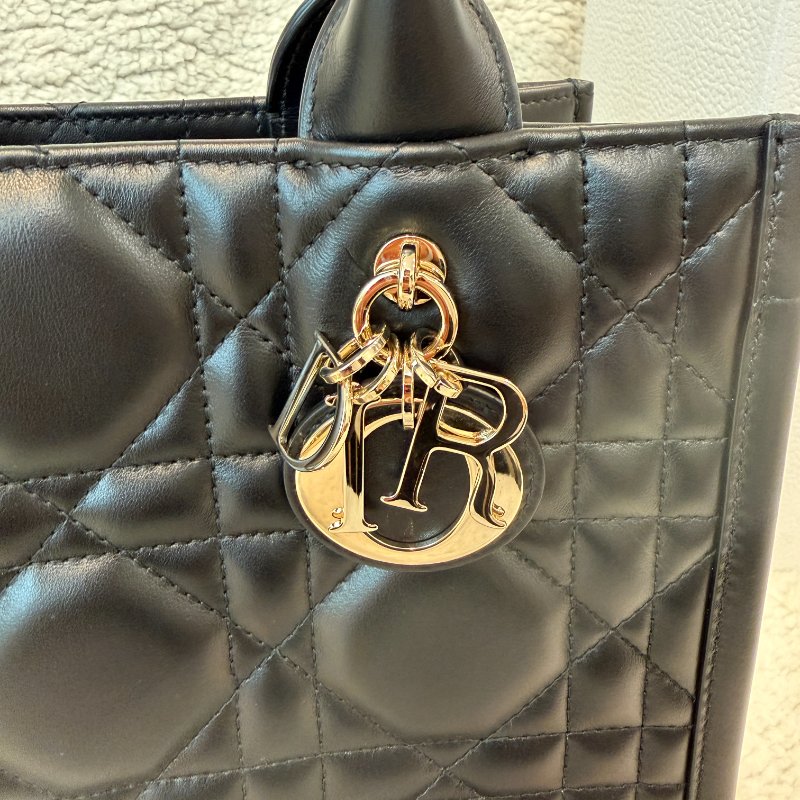 Dior Small Book Tote 黛妃托特包 99新配件盒子-5