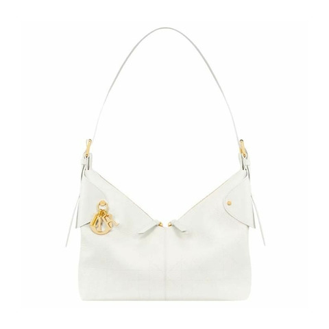 DIOR Voyage 中號包 M2846UJVC_M030