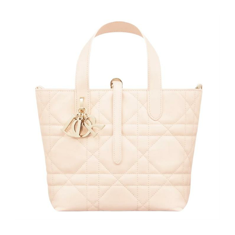 DIOR Always Small 直式手提包 M2835OSNW_M71U-6