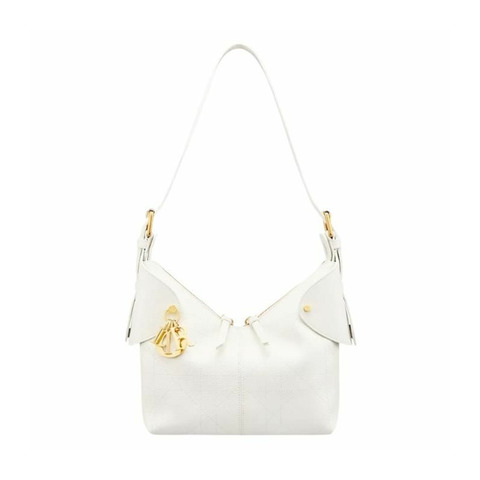 DIOR Voyage 小號包 M2845UJVC_M030