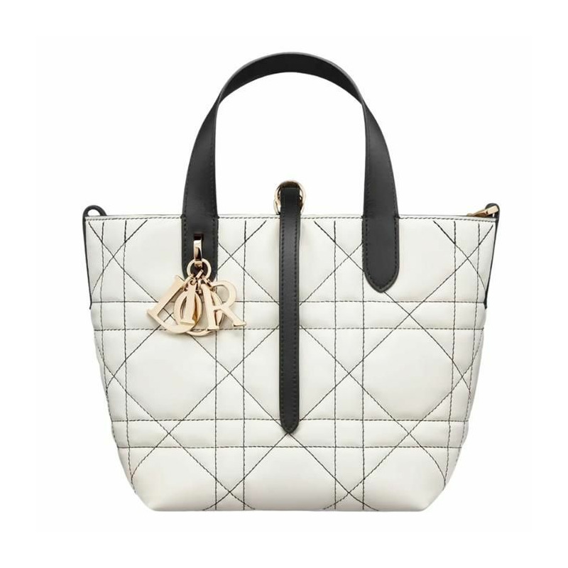 DIOR Always Small 直式手提包 M2835OSUV_M041-0