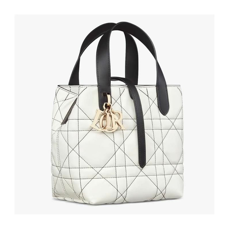 DIOR Always Small 直式手提包 M2835OSUV_M041-1