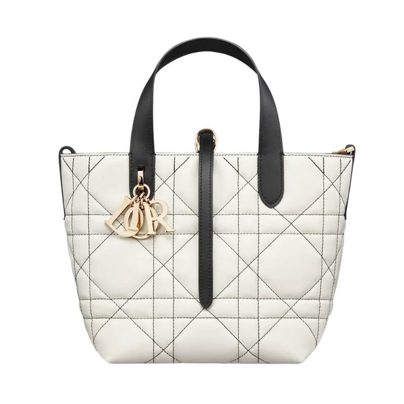 DIOR Always Small 直式手提包 M2835OSUV_M041-6