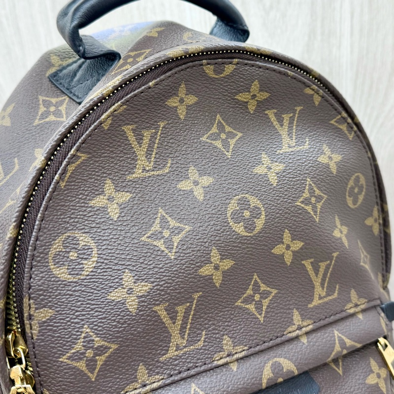 LV 老花Palm Spring PM後背包 M44871-14
