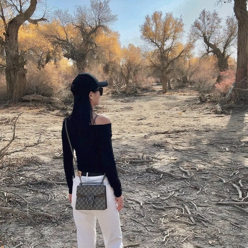 GUCCI Dionysus老花酒神包 - 小號烏木色-9