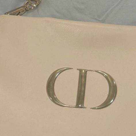 Dior手提肩背包-14