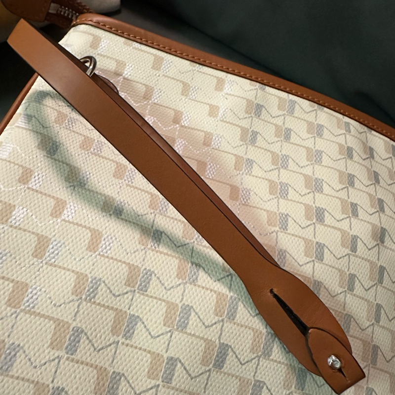 Moynat 小手提包-3