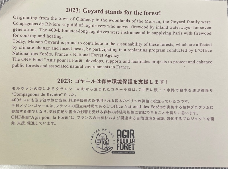 Goyard拖特包，中，黑色-16