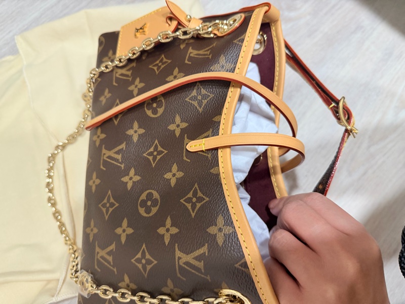 LV Carry All BB（全新）-5