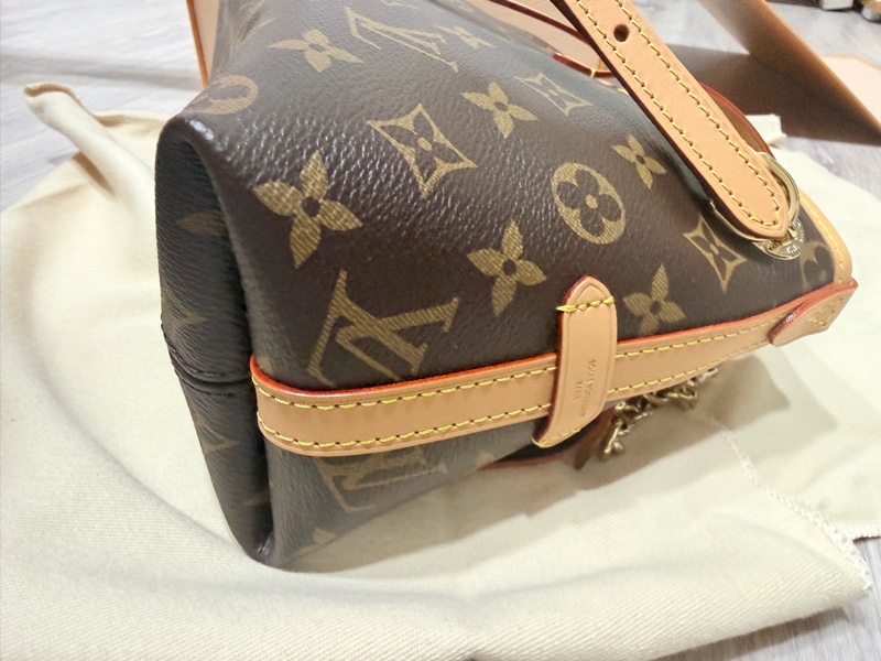 LV Carry All BB（全新）-8