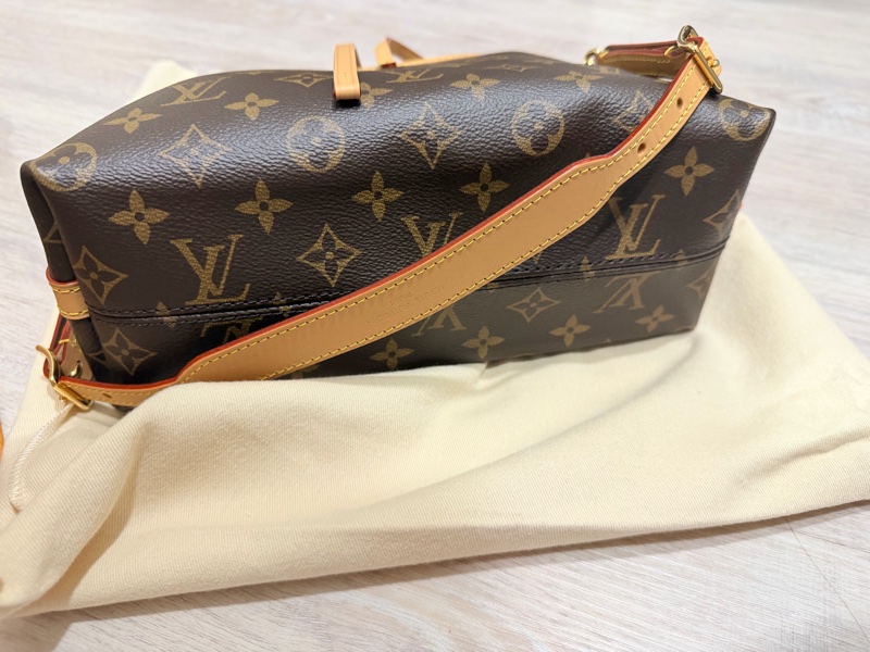LV Carry All BB（全新）-9