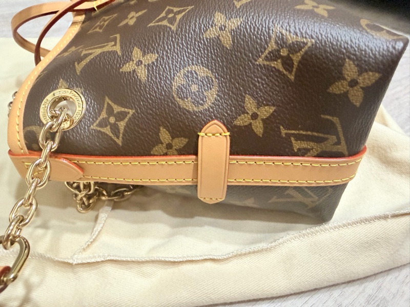 LV Carry All BB（全新）-11