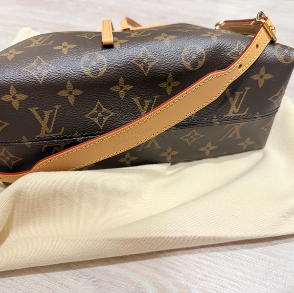 LV Carry All BB（全新）-15