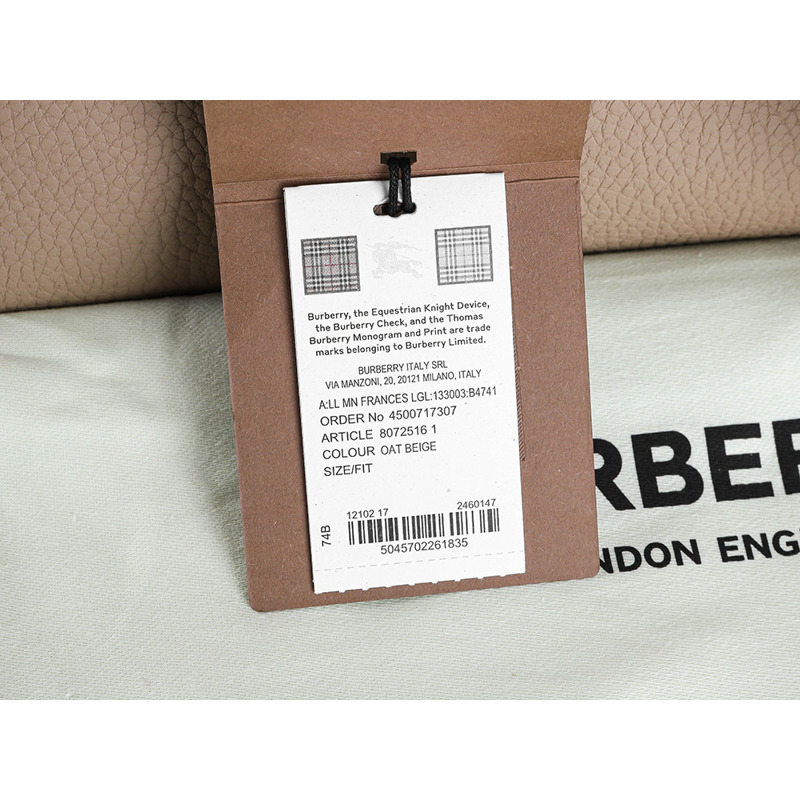 BURBERRY 法蘭西斯單肩包-17