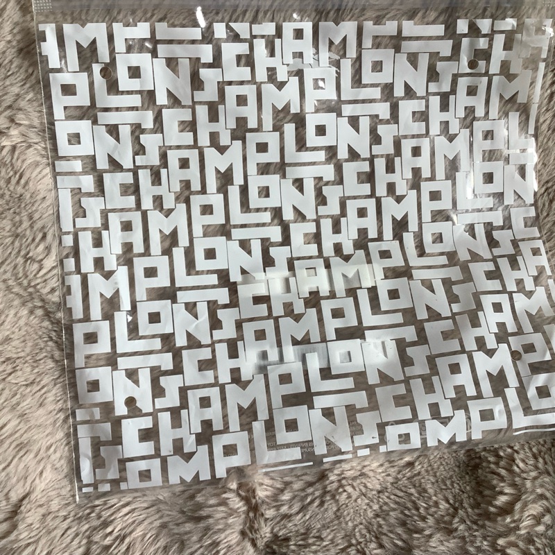 Longchamp中號拖特包-13