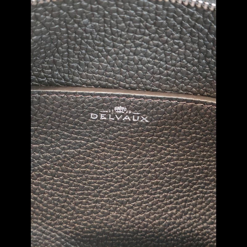 Delvaux daily pin-15