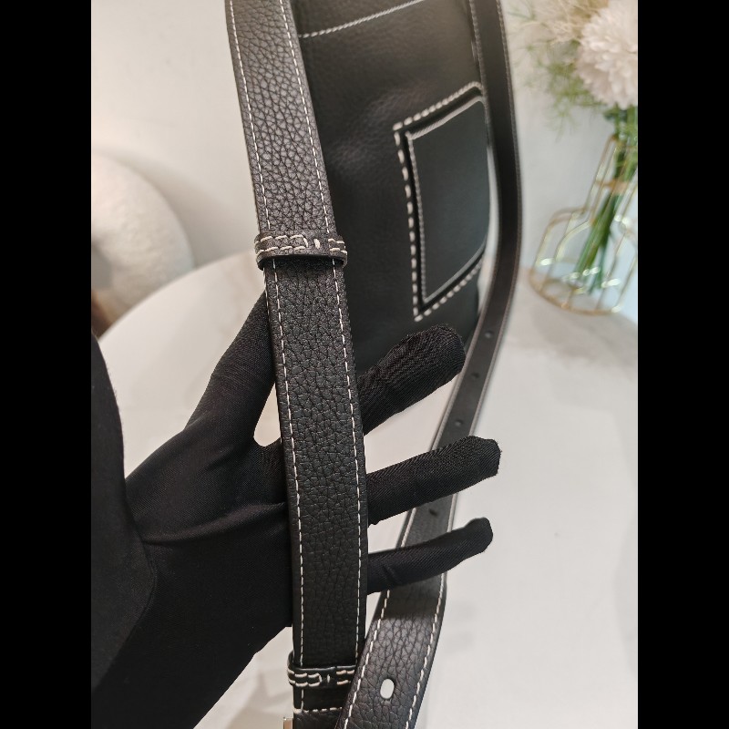 Delvaux daily pin-20