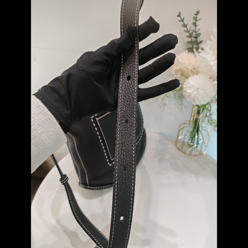 Delvaux daily pin-21