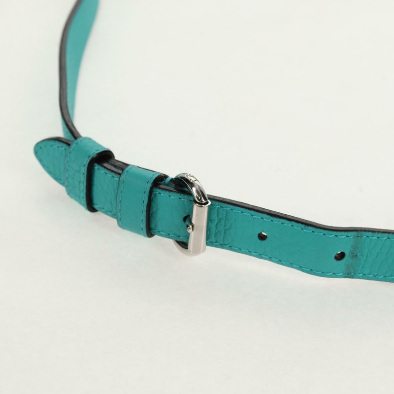 【日本直送】Christian Dior Diorissimo 皮革雙肩包,綠松石藍/銀色,正品,貨號 158870V-9