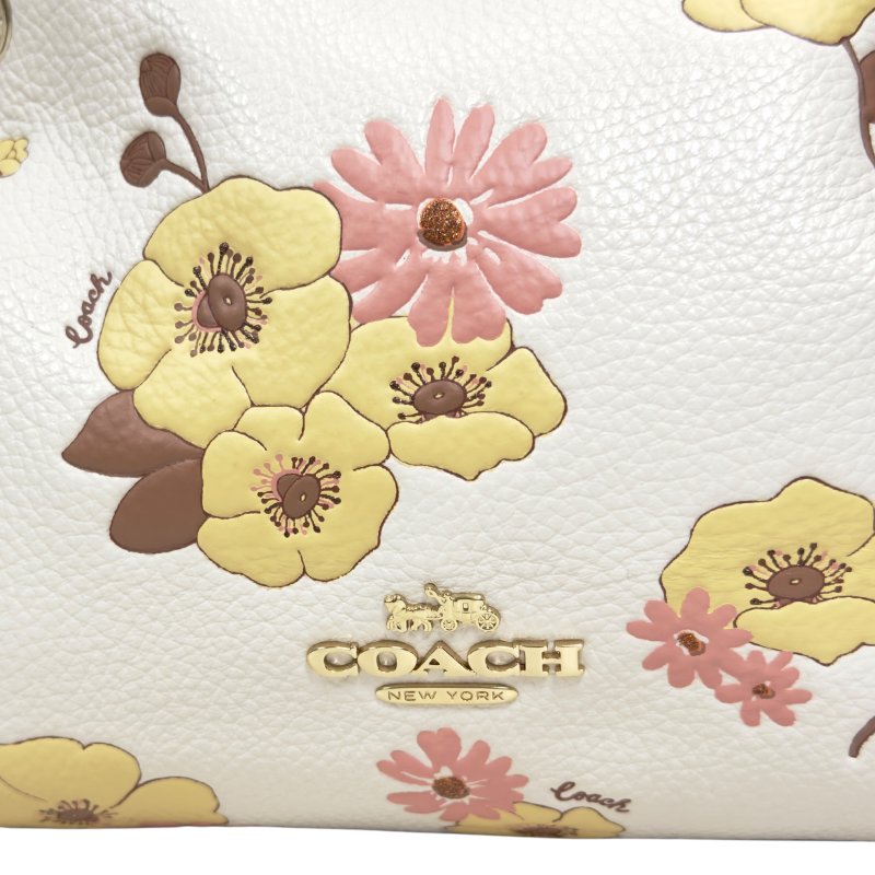 Coach 2用袋-3