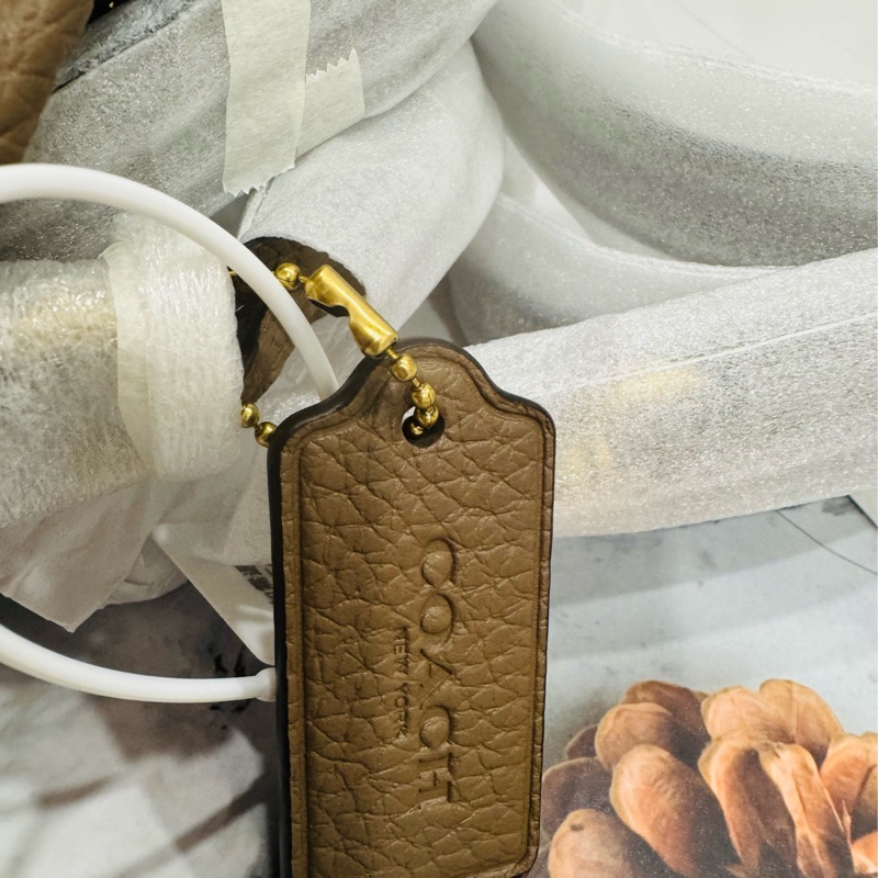 全新COACH CARY 肩背 / 斜背包-2