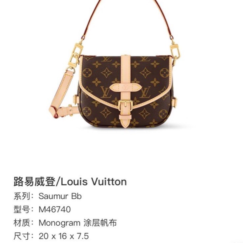 LV 路易威登雙子星⭐️SaumurBB郵差包小豬包/兩用包⭐️芯片款-14