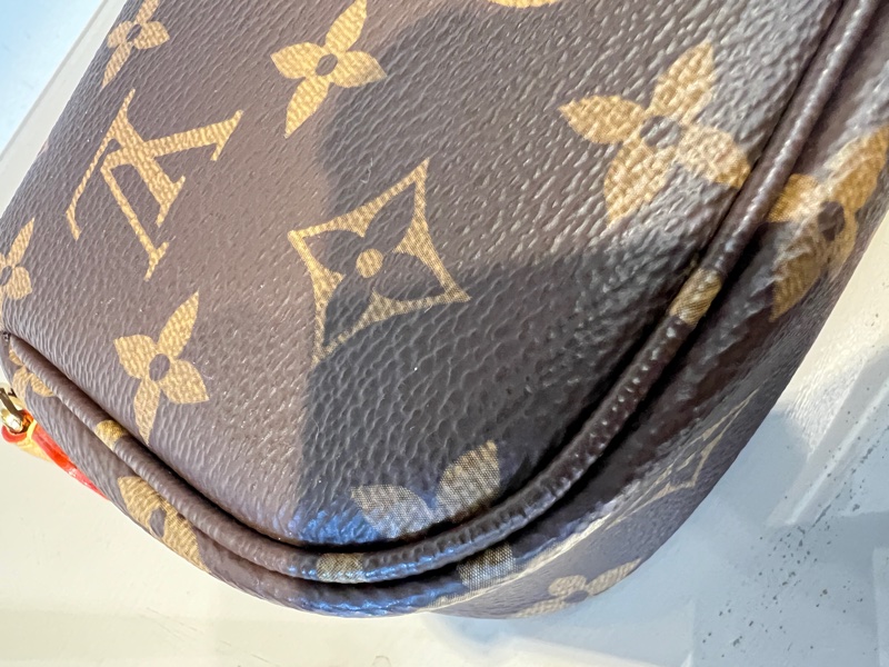 LV 原花Wallet on Chain Ivy 金釦下蓋肩斜背包-9