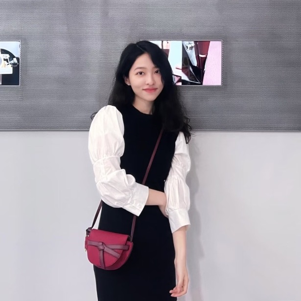 LOEWE gate酒紅色馬鞍mini肩背斜背包15*13*5 98新配件塵袋-0