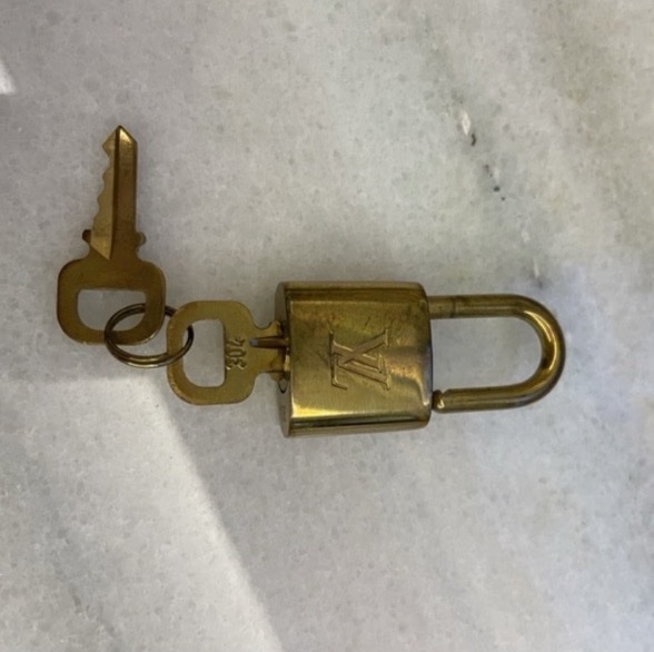 Louis Vuitton speed 30 白色棋盤格手提包-11