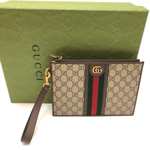 Gucci pouch ( Ophidia )