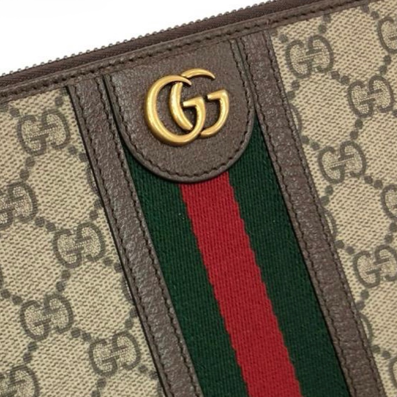 Gucci pouch ( Ophidia )-4