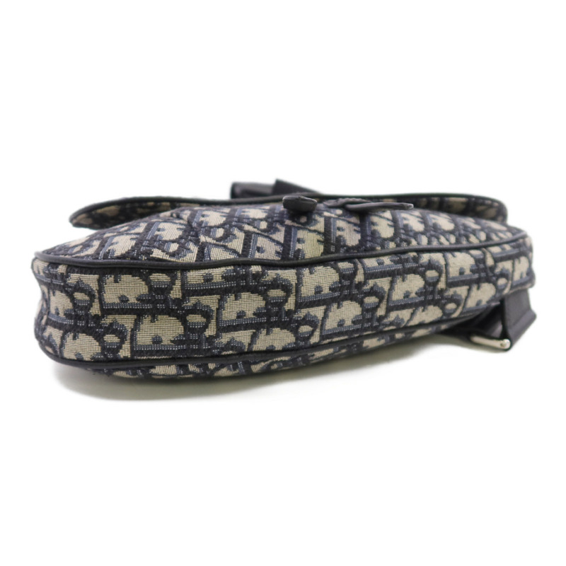 Dior Obriqur帆布Saddle Oblique銀扣肩背袋-3