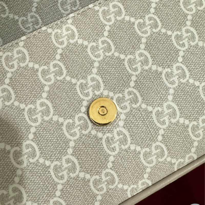 Gucci 新款信封包-5