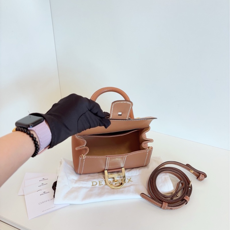 【98新🆕】Delvaux  Brilliant mini 限量外縫線 金棕金扣手提包-7