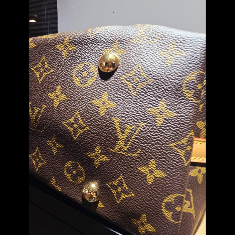 LV Carryall MM-13