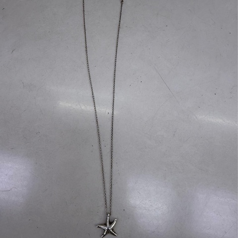 Tiffany &co 頸鏈