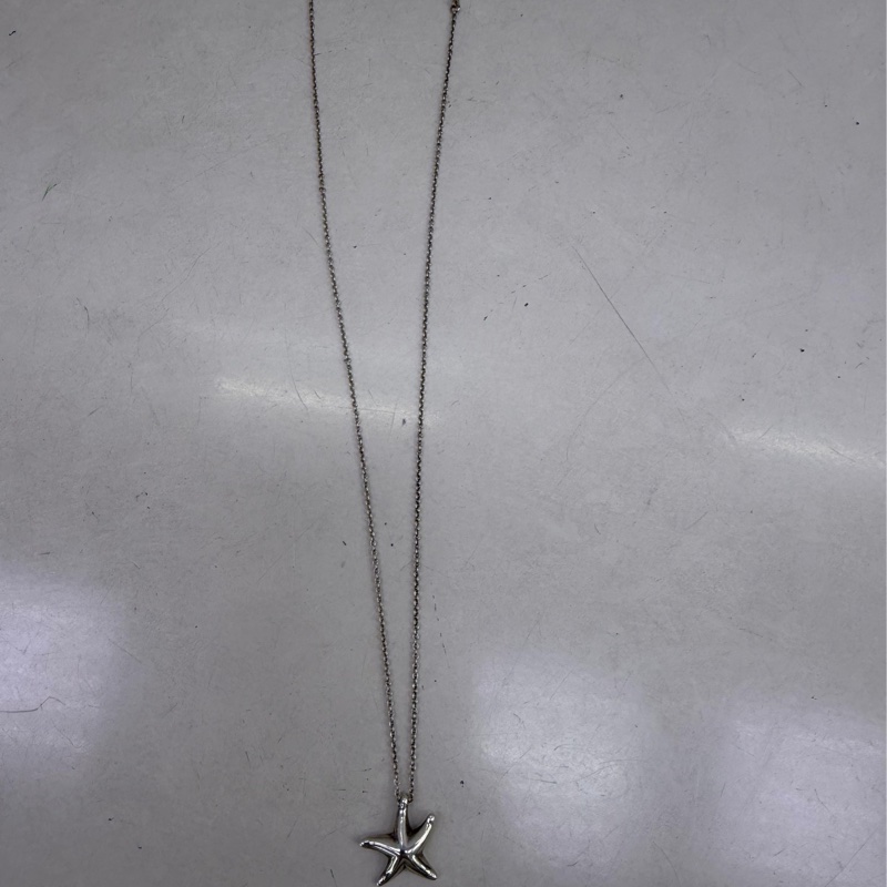 Tiffany &co 頸鏈-0