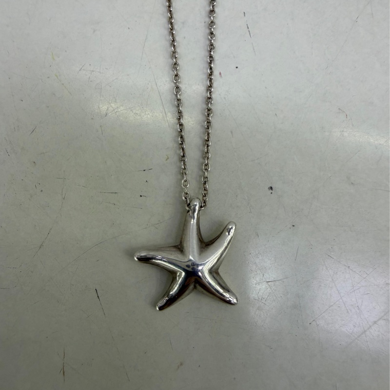 Tiffany &co 頸鏈-3