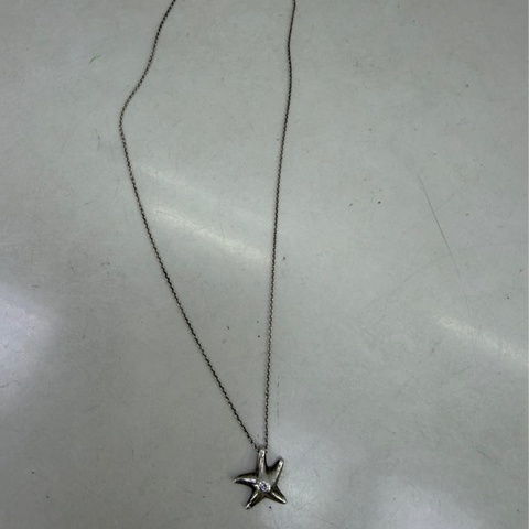 Tiffany &co 頸鏈