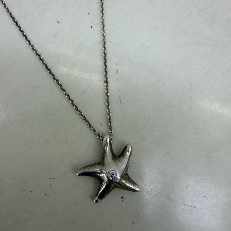 Tiffany &co 頸鏈-1