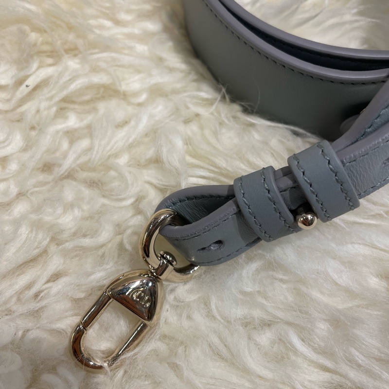 Dior 全皮灰色肩帶-3