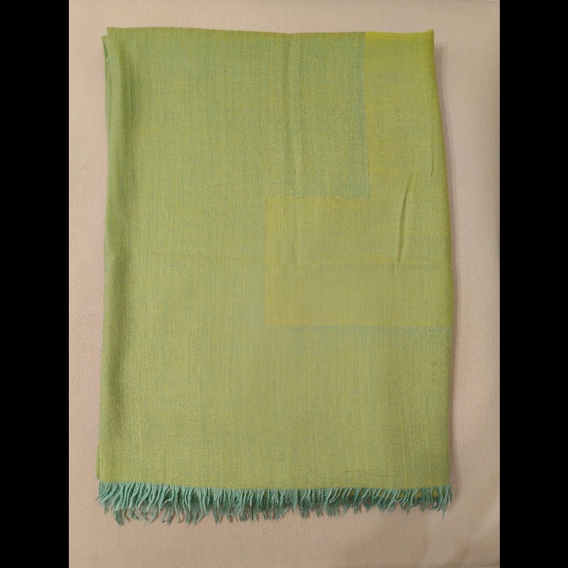 HermesH字樣綠色喀什米爾大披肩-3