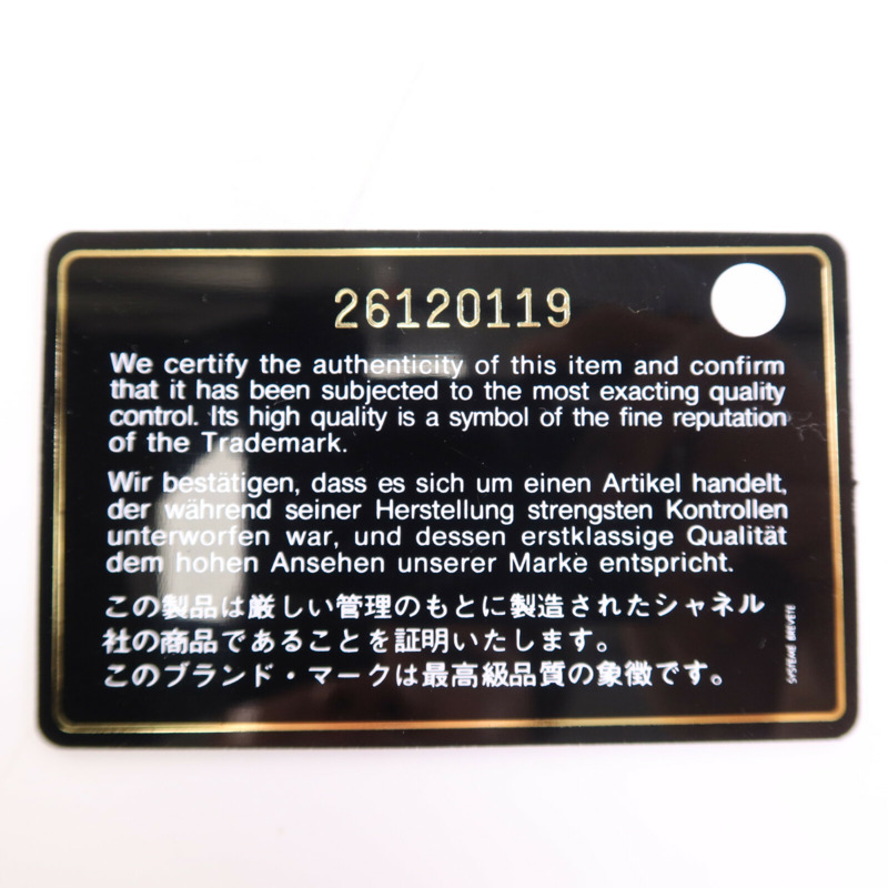 CHANEL 牛皮皮革WOC Wallet On Chain銀扣鏈帶肩背袋-14